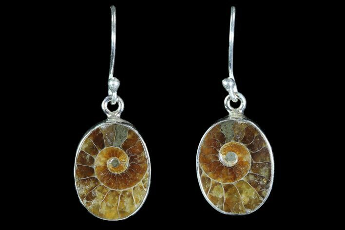 Fossil Ammonite Earrings - Sterling Silver #82257